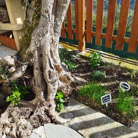 Villa Amphiorama à La Spezia Extérieur photo